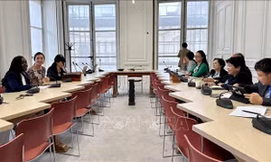 Tăng cường quan hệ giữa hai nhóm nghị sỹ hữu nghị Việt Nam và Pháp