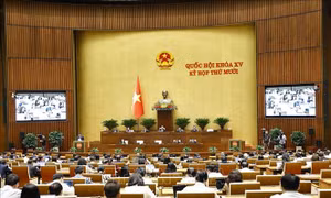 Cử tri Khánh Hòa đánh giá cao việc thực hiện chính sách, pháp luật về bảo vệ môi trường