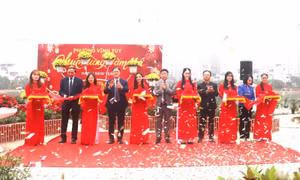 Hoàn thiện giai đoạn 1 công trình cải tạo Ao cá Bác Hồ tại phường Vĩnh Tuy (Hà Nội)