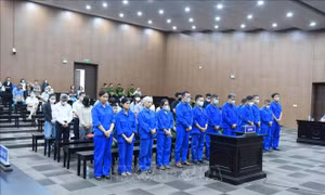 Cựu Thứ trưởng Nguyễn Bá Hoan bị phạt 12 năm tù