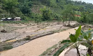 Thiên tai làm 16 người thương vong và nhiều thiệt hại