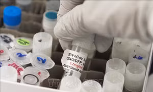 EMA giám sát nghiên cứu, lưu hành vaccine ngừa COVID-19 