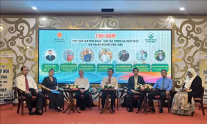 Vĩnh Long: Thích ứng chính sách thuế Hoa Kỳ, giải pháp xuất khẩu bền vững 