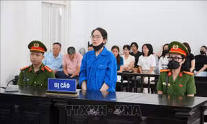 Trả hồ sơ, điều tra bổ sung vụ Trường Đại học Đông Đô (giai đoạn 2)