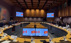 Việt Nam và Canada thống nhất định hướng hợp tác kinh tế giai đoạn mới