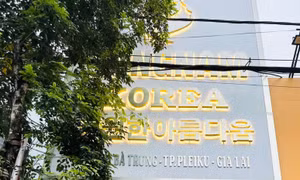 Xử phạt, đình chỉ hoạt động Thẩm mỹ viện quốc tế Gangnam