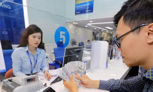 Tỷ giá hôm nay 24/6: USD nhích lên, trong khi NDT giảm mạnh