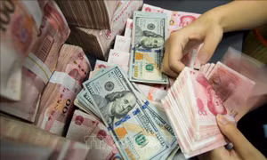Tỷ giá hôm nay 19/8: USD được điều chỉnh trái chiều
