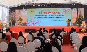 Đẩy mạnh sản xuất, kinh doanh kết hợp phòng, chống dịch COVID-19
