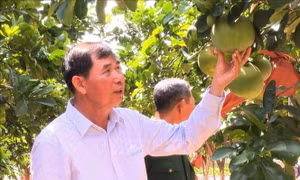 Khơi dậy tiềm năng sáng tạo của nông dân, vững tin hội nhập