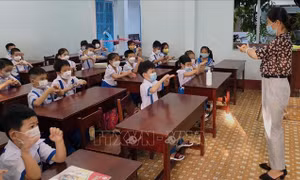 Bình Định miễn, giảm học phí học kỳ I cho gần 54.000 trẻ mẫu giáo, học sinh, học viên