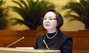 Bộ trưởng Bộ Nội vụ Phạm Thị Thanh Trà: Chưa sáp nhập tỉnh, thành phố ngay