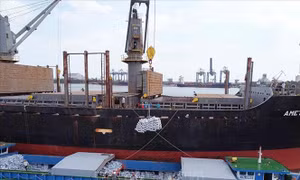 Phát triển logistics cho nông sản - Bài 1: Chặng đường quan trọng lưu thông hàng hoá
