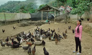 Nêu gương để Đảng mạnh, dân tin