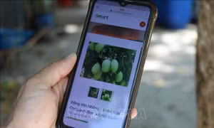 Tạo đột phá cho nông thôn mới kiểu mẫu từ mô hình Làng thông minh