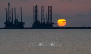 Giá dầu thế giới tăng khoảng 1% phiên 14/10