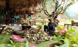 Khai thác lợi thế nông sản bản địa