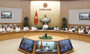 Nghị quyết phiên họp Chính phủ thường kỳ tháng 8/2019