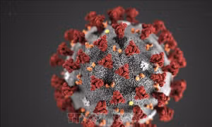 Nga phát triển xét nghiệm đồng thời phát hiện 8 loại virus hô hấp cấp tính 