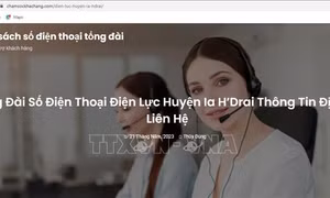Người dân cần cảnh giác với website giả mạo Công ty Điện lực Kon Tum