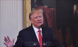 Thông qua nghị quyết chính thức hóa cuộc điều tra Tổng thống Donald Trump