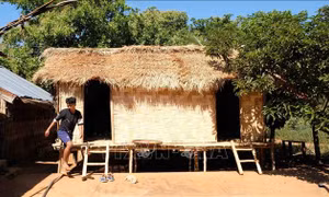 Phục dựng nhà dài của dân tộc Mạ