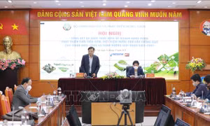 Gần 530.000 ha cây trồng cạn được áp dụng tưới tiên tiến, tiết kiệm nước
