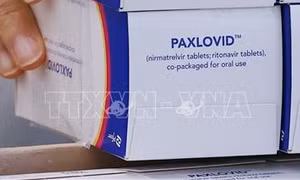 Canada phê duyệt thuốc kháng virus trị COVID-19 của hãng Pfizer