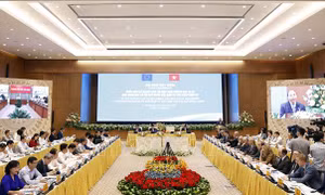 4 nhóm giải pháp thực thi Hiệp định EVFTA