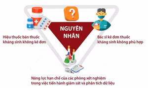 Tuần lễ thế giới nâng cao nhận thức về kháng thuốc (18-24/11/2023)