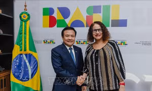 Brazil ấn tượng với thành tựu và tiềm năng phát triển khoa học - công nghệ của Việt Nam