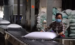 Tiêu thụ nông sản - Bài 4: Khơi thông nguồn vốn