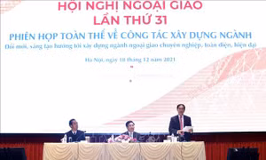 Phiên họp toàn thể về xây dựng ngành ngoại giao