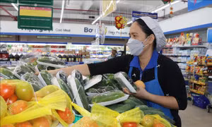 Sẵn sàng lực lượng, hàng hóa thiết yếu ứng phó cơn bão số 4