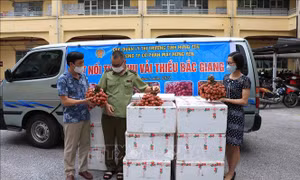 Hưng Yên hỗ trợ tiêu thụ vải thiều Bắc Giang