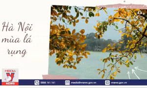 Hà Nội mùa cây rụng lá