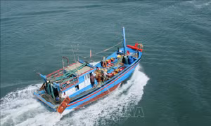 Tăng năng lực cho đội tàu khai thác xa bờ
