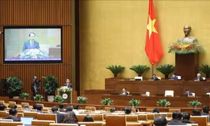 Sửa đổi, bổ sung Luật Xử lý vi phạm hành chính năm 2012 để phù hợp thực tiễn