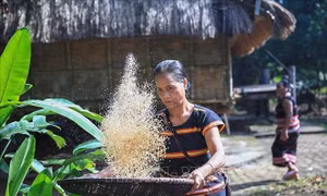 Đồng hành cùng bào Xơ Đăng vượt khó