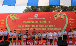 Hỗ trợ gần 10 tỷ đồng chăm lo Tết cho người nghèo, nạn nhân chất độc da cam