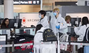 Khuyến cáo công dân Việt Nam tại Canada thận trọng với các chuyến bay chưa cấp phép