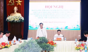 Rà soát, hoàn thiện hồ sơ đề án thành lập thị xã Kim Bảng trong tháng 9/2024