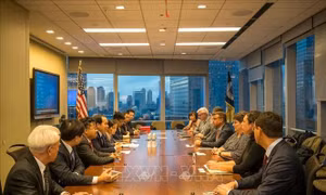 Tiềm năng, cơ hội hợp tác giữa thành phố Hải Phòng và thành phố New York (Mỹ)