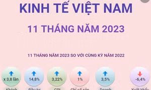 Kinh tế Việt Nam 11 tháng năm 2023