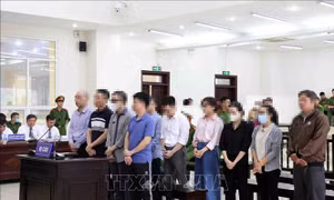 Xét xử phúc thẩm vụ Việt Á