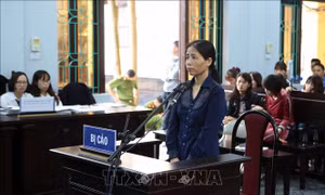 Đề nghị mức án 9 - 10 năm tù với nữ y sĩ gây bệnh sùi mào gà cho trên 100 bé trai