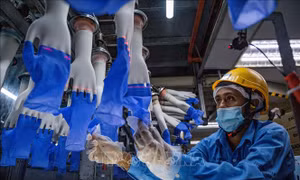 Nhu cầu găng tay cao su toàn cầu có thể vượt cung cho đến năm 2023