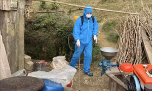 Ghi nhận một trẻ tử vong do bạch hầu, Bộ Y tế yêu cầu xử lý triệt để ổ dịch