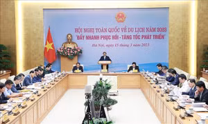 Thủ tướng: Nên chăng phát động một phong trào xây dựng đất nước xanh, sạch, đẹp?
