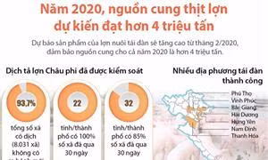 Năm 2020, nguồn cung thịt lợn dự kiến đạt hơn 4 triệu tấn